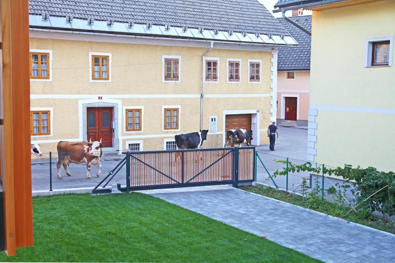 Apartment Jurijana - New 4-Bedroom Triplex With Sauna & Garden Bohinj Exterior photo